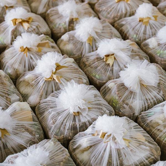 Sachin & Sowparnika Happily Ever After