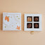 Rich Chocolate (Pack of 4)