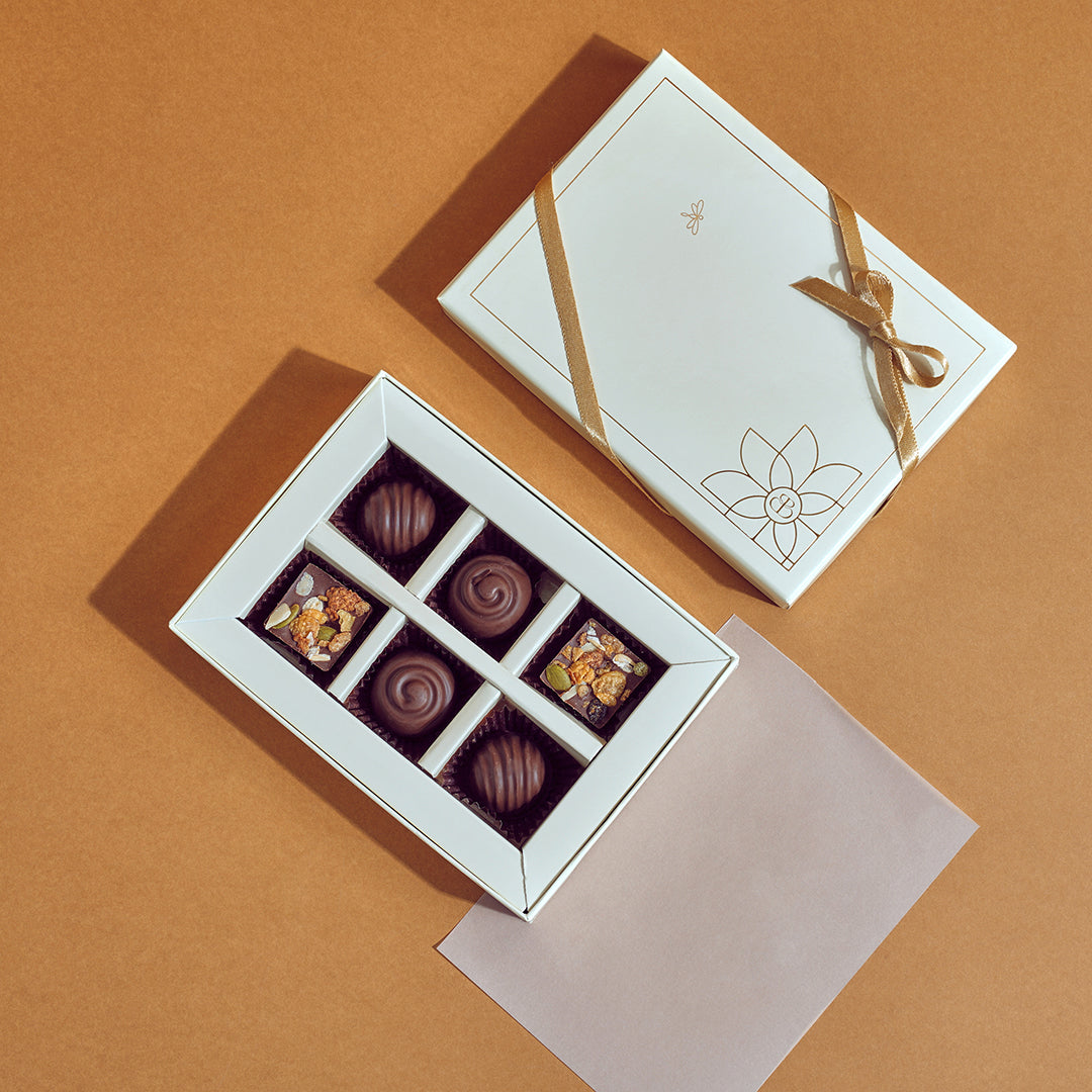 Rich Chocolate (Pack of 6)