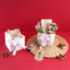 The Little Luxe Raksha Bandhan Hamper