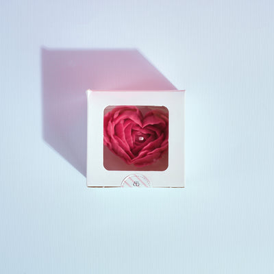 Candle - Whisper