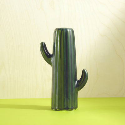 Cactus Calm