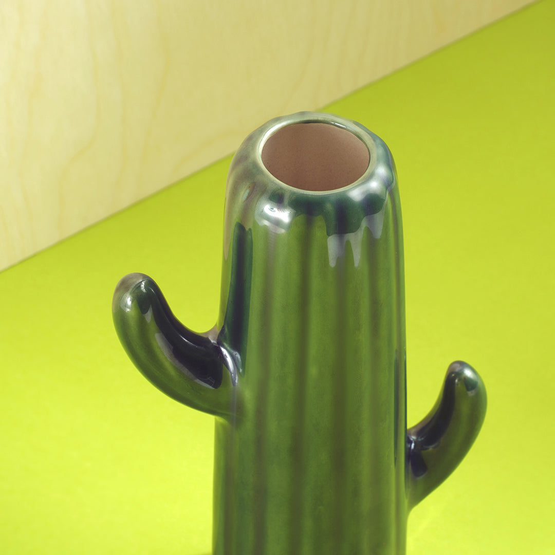 Cactus Calm