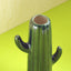 Cactus Calm