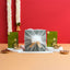 Delicious Diwali Gift Hamper