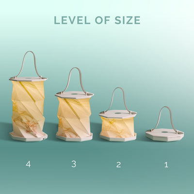 Foldable Lamp