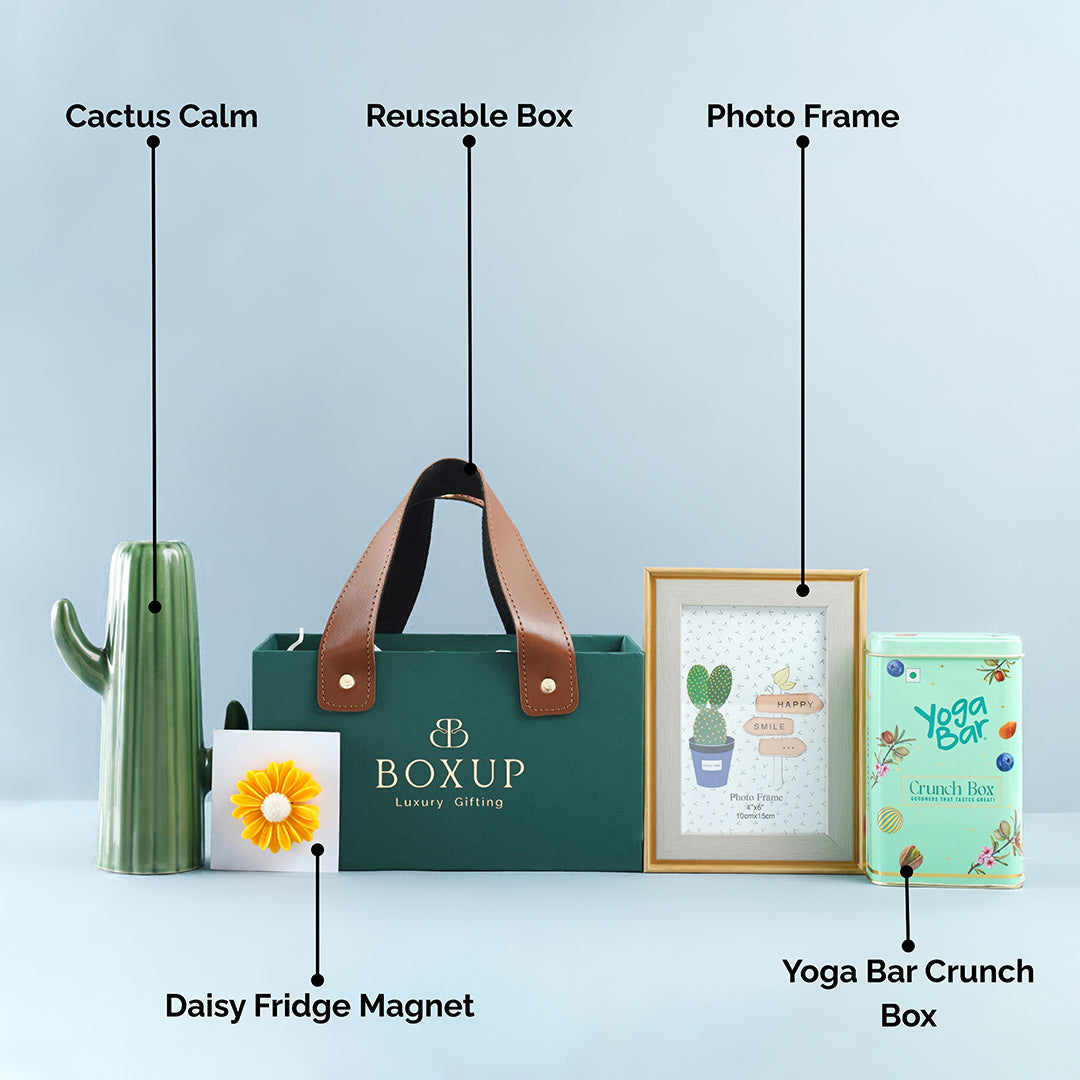 The Cactus Calm Hamper