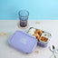 Lunch Companion Tiffin