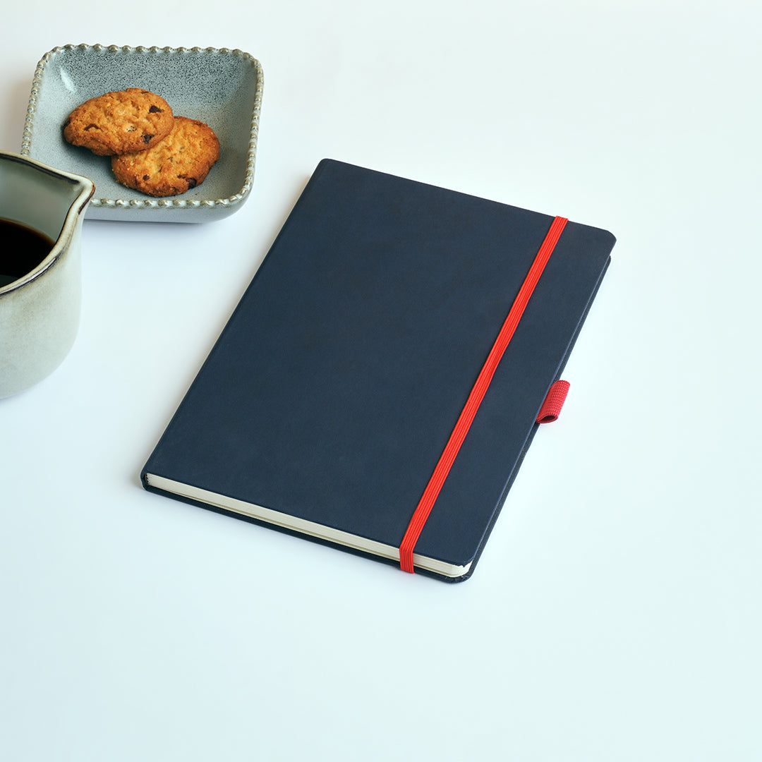 Dylan Journal