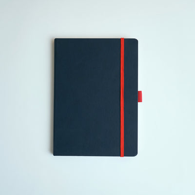 Dylan Journal