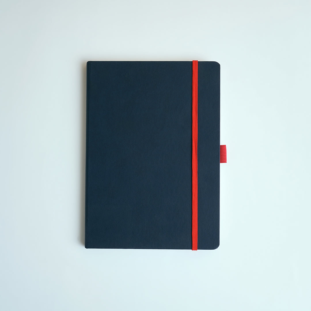 Dylan Journal