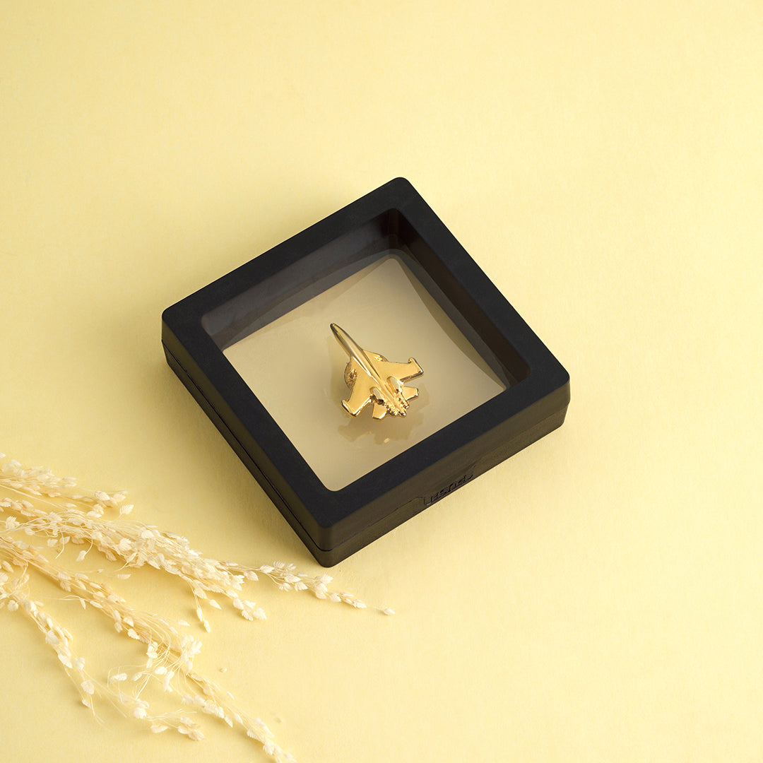 Fighter – Pin