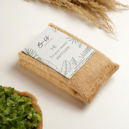 Plant Grow Kit