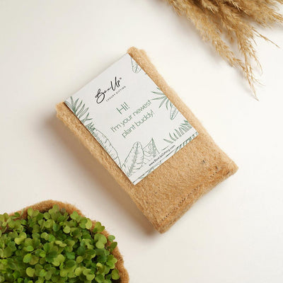 Plant Grow Kit