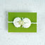 Rakhi for your Sister