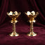 Brass Diyas Lotus Bloom