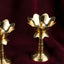 Brass Diyas Lotus Bloom