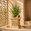Brass Plant Pot Sacred Tulsi