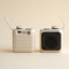 Portable wireless Speaker