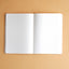 Capua Journal