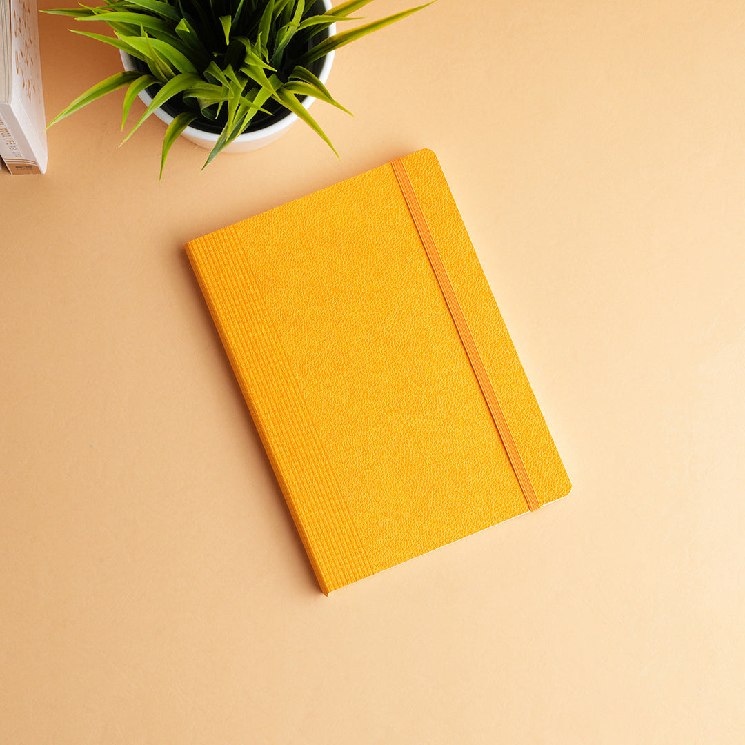 Capua Journal