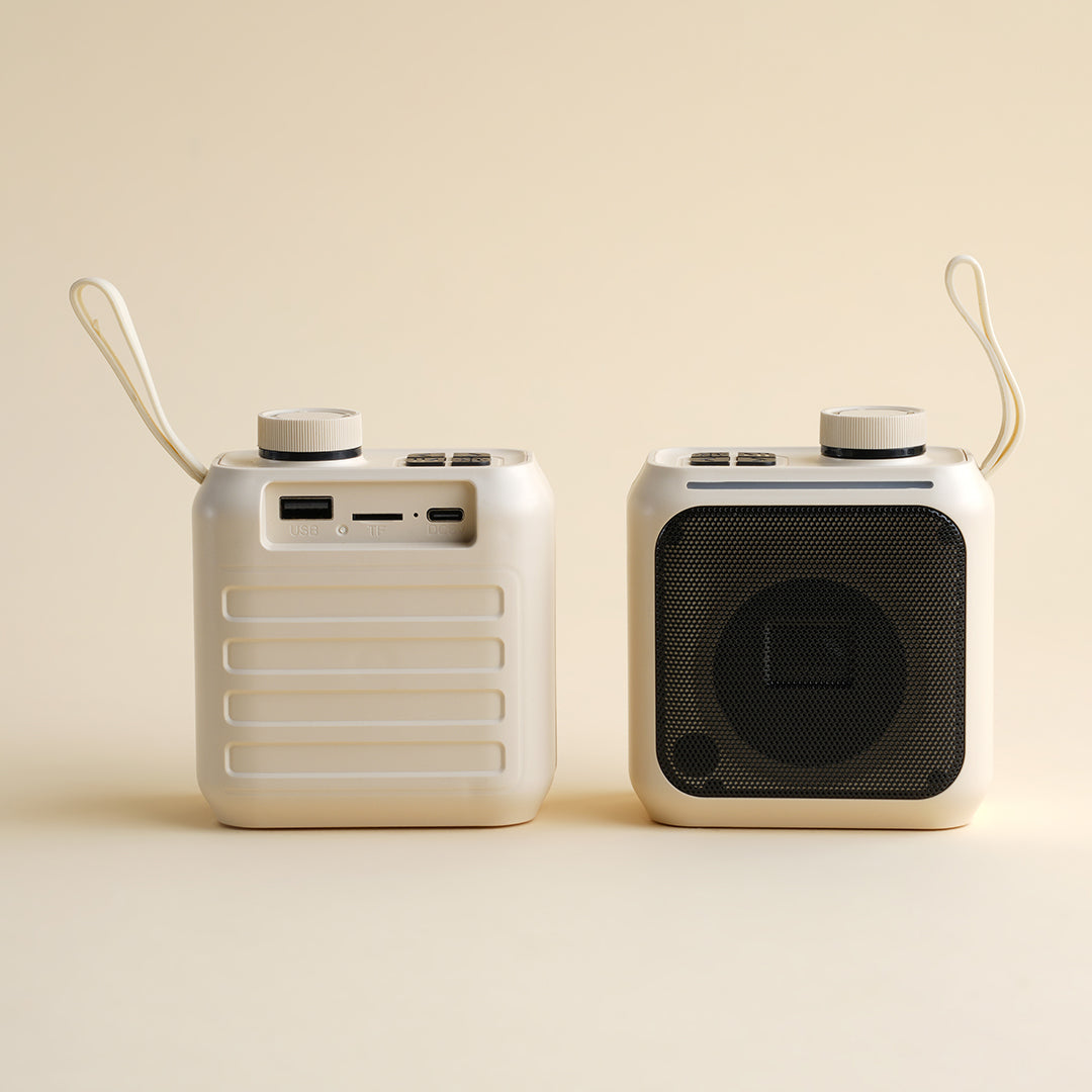 Portable Wireless Speaker (Set of 2)