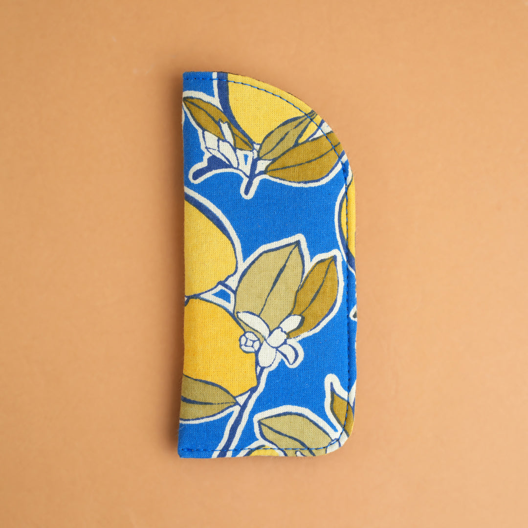 Faun Goggle case