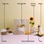 Sunshine Tea Hamper