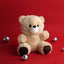 Soft toy - Teddy bear