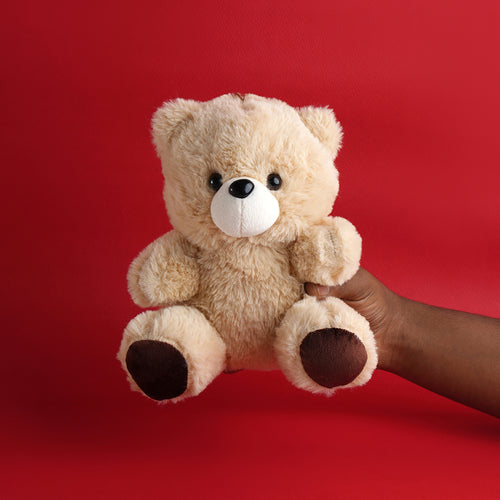 Soft toy - Teddy bear