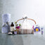 The Wellness Collective