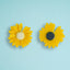 Daisy Fridge Magnet