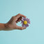 Daisy Fridge Magnet