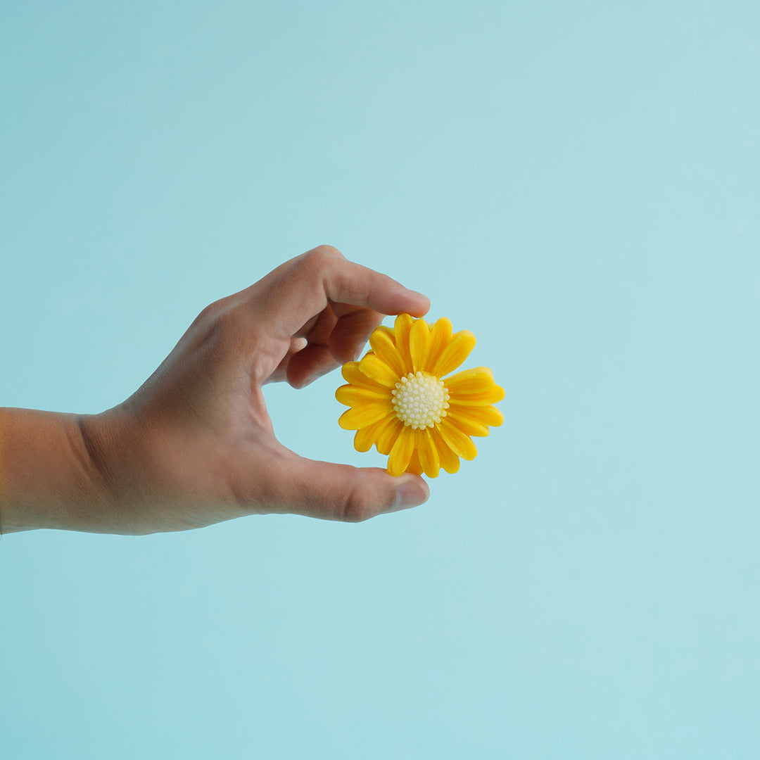 Daisy Fridge Magnet