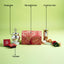The Wedding Sandook Box
