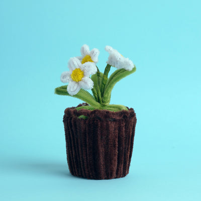 Flower Pot Bloomlet