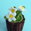 Flower Pot Bloomlet