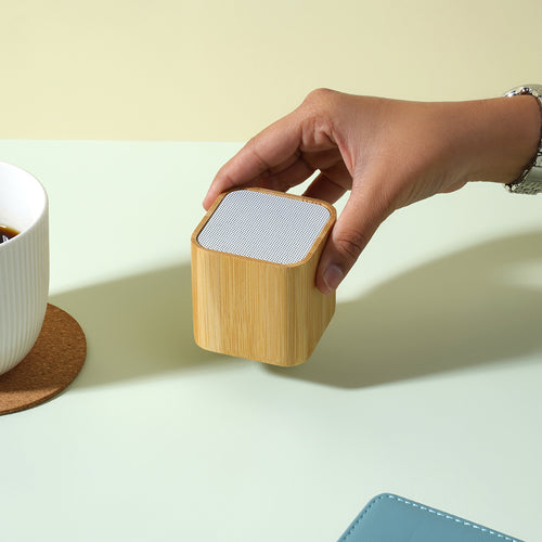 Speaker – Bant